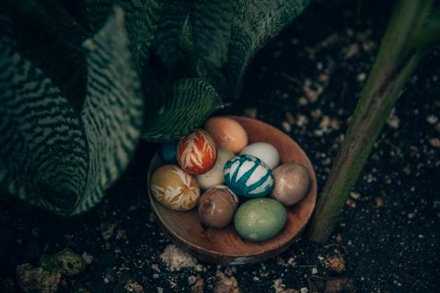 Bowl of organically colored Easter eggs lying outdoors MBEF01467