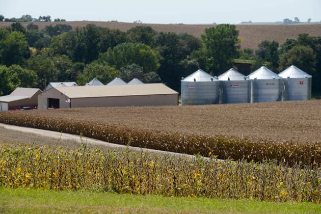 IMAGO Nature: Unsere Erde, Klimawandel, Ernährung, Pflanzen der Zukunft, Soja USA, Nebraska, soybean farming USA, Nebraska, Omaha Reservation, soybean farming *** USA, Nebraska, Omaha Indianer Reservat, Anbau von GMO Soja, Feld mit genmanipulierten Soajabohnen Macy Nebraska United States of America