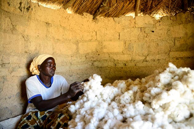 IMAGO Nature: Unsere Erde, Klimawandel, Baumwolle Burkina Faso, organic and fair trade cotton farming BURKINA FASO, village GOUMSIN near SAPONE, organic and fair trade cotton farming, manual harvest at farm of woman farmer HELÃˆNE KABRE, storage in clay hut *** fair gehandelte Biobaumwolle, Ernte bei Kleinbaeuerin HELÃˆNE KABRE, Zwischenlagerung in Lehmhuette SaponÃ GOUMSIN Bazega Province Burkina Faso