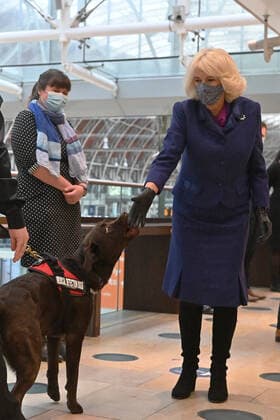 . 27 10 2020. London, United Kingdom. Camilla,The Duchess of Cornwall, at Paddington Station in London where she watched a demonstration by Medical Detection Dogs .  xi-Imagesx xPoolx IIM-21741-0009