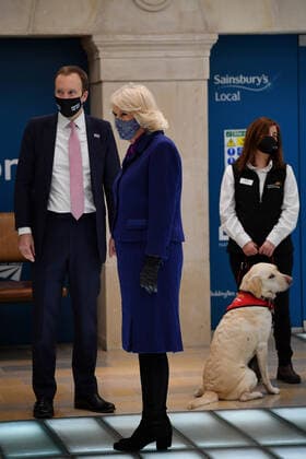 . 27 10 2020. London, United Kingdom. Camilla,The Duchess of Cornwall, at Paddington Station in London where she watched a demonstration by Medical Detection Dogs .  xi-Imagesx xPoolx IIM-21741-0015