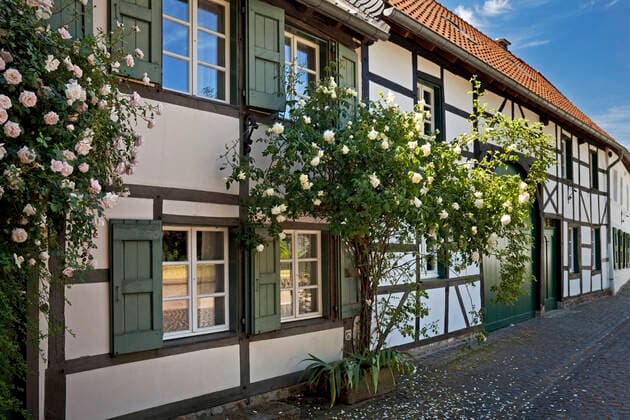 Fachwerkfassade mit Rosen im Stadtteil Liedberg, Deutschland, Nordrhein-Westfalen, Niederrhein, Korschenbroich Half-timbered facade with roses in the Liedberg district, Germany, North Rhine-Westphalia, Lower Rhine, Korschenbroich BLWS631310