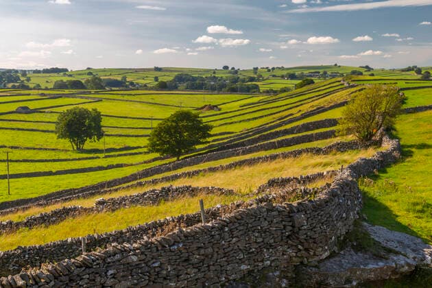 View of dry stone walls near Litton, Peak District National Park, Derbyshire, England, United Kingdom, Europe Copyright: FrankxFell 844-23243