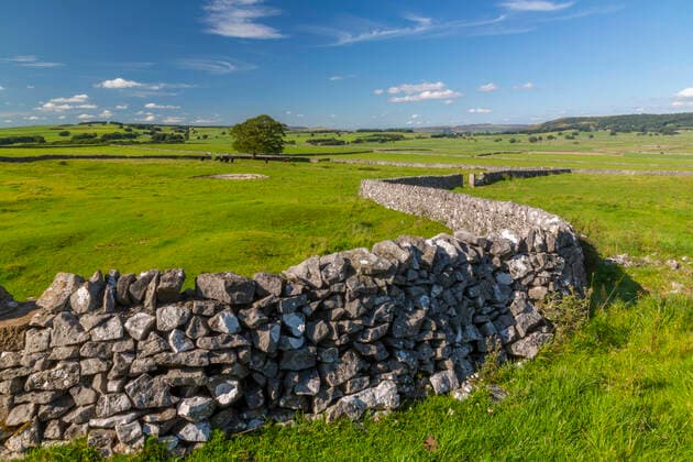View of dry stone walls near Litton, Peak District National Park, Derbyshire, England, United Kingdom, Europe Copyright: FrankxFell 844-23244