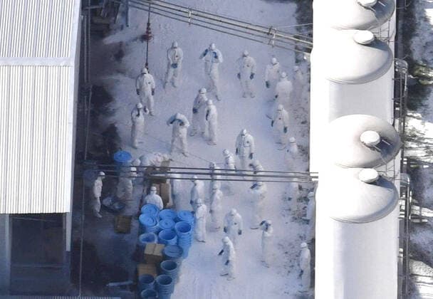 Bilder des Jahres 2020, News 11 November News Themen der Woche KW45 News Bilder des Tages Avian flu outbreak confirmed in western Japan Photo taken Nov. 5, 2020, from a Kyodo News helicopter shows workers in protective suits during an operation to cull around 330,000 chickens at a farm in Mitoyo in Kagawa Prefecture, western Japan, where an outbreak of the highly pathogenic avian flu was confirmed. 