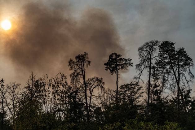 Rauch eines Waldbrands verdunkelt die Sonne *** Smoke from a forest fire darkens the sun 1074704034
