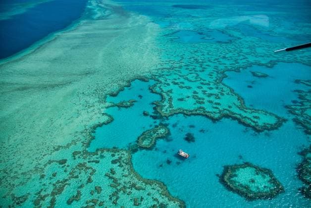 Natural Great Barrier Reef in Queensland. Aerial view of nature paradise with magnificent colors. 1028_13_GGA0323
