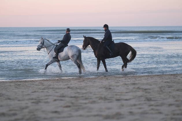 Bilder des Jahres 2020, Entertainment 11 November Dutch King Willem-Alexander (R) rides a horse along the sea shore on November 6, 2020 in Katwijk, Netherlands.  (147932026)
