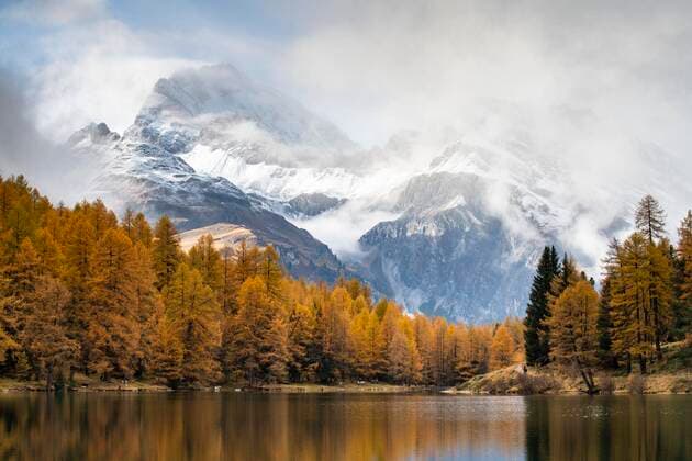 Herbstlicher Lärchenwald am Palpuognasee, schneebedeckte Berge mit Wolkenstimmung, Lei da Palpuogna, Albulapass, Graubünden, Schweiz, Europa Copyright: imageBROKER/RobertxHaasmann ibxroh06060121.jpg
