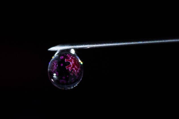 Symbolfoto zum Thema Impfstoff gegen Corona : Eine Illustration des Corona-Viruses zeichnet sich in dem Tropfen an einer Spritze ab. Berlin, 19.11.2020. Biontech arbeitet an einem erfolgsversprechenden Impfstoff gegen das Coronavirus. Berlin Deutschland