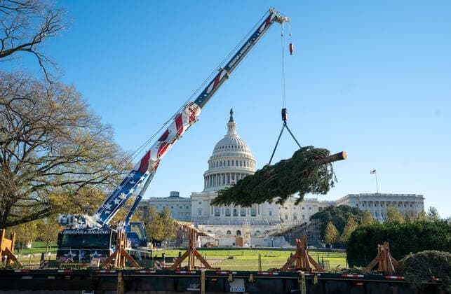 Bilder des Jahres 2020, News 11 November News Themen der Woche KW47 News Bilder des Tages The 2020 U.S. Capitol Christmas Tree is unloaded on the grounds of the U.S. Capitol in Washington, DC on Friday, November 20, 2020. The Capitol Christmas Tree is an Engelmann spruce from the Grand Mesa, Uncompahgre and Gunnison (GMUG) National Forests in Colorado.  WAP20201120319 KEVINxDIETSCH