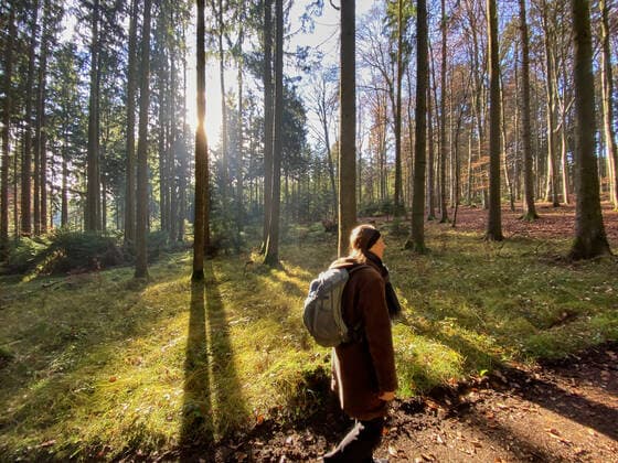 A woman is walking through the forest in autumn, forest bathing, or shinrin-yoku on November 22, 2020 in Pfaffenhofen a.d.Ilm, Bavaria, Germany. Forest bath has the power to counter illnesses including cancer, strokes, gastric ulcers, depression. The term emerged in Japan in the 1980s as a physiological and psychological exercise called shinrin-yoku (forest bathing or taking in the forest).
