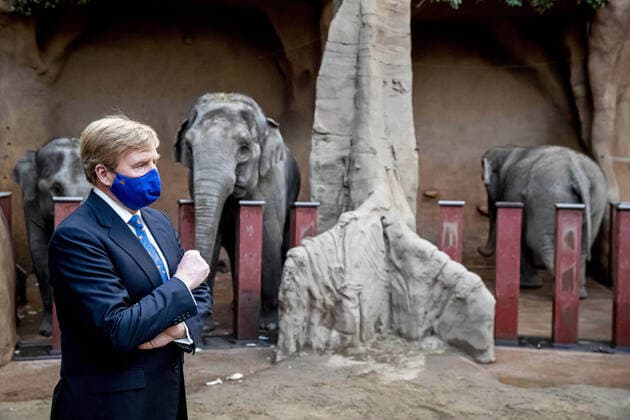 23-11-2020 Rotterdam King Willem-Alexander visited the Zoo Diergaarde Blijdorp in Rotterdam. Zoos, conservation organizations and researchers worldwide collaborate in international research and breeding programs to keep animal populations healthy. They do this through, among other things, the European Endagered Species Program (EEP) of the European Association of Zoos and Aquaria (EAZA). Zoos have seen a decline in income due to closures or limited visiting options. This gives them less financial options to invest in research and breeding programs. Travel restrictions also hinder the transport of animals for breeding programs.  Copyright: xxPPE pool RPE Katwijkx