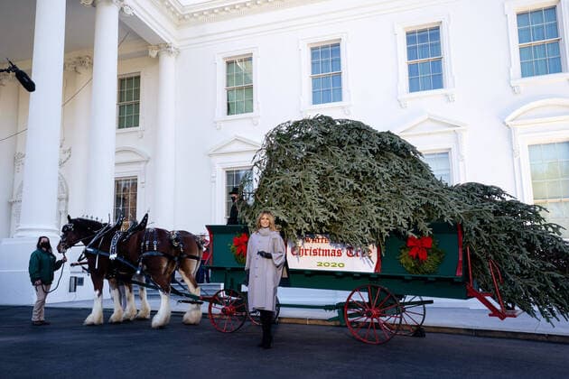 Bilder des Jahres 2020, Entertainment 11 November Entertainment Themen der Woche KW48 News Bilder des Tages Entertainment Bilder des Tages First Lady Melania Trump receives the official White House Christmas Tree at the White House in Washington, DC on Monday, November 23, 2020. The 18 foot Fraser Fir, which will be displayed in the Blue Room, is from Dan and Bryan Trees is West Virginia.  WAP20201123305 KEVINxDIETSCH