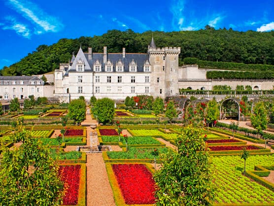 The castle and the gardens of Villandry, Loire Valley, France. The beautiful castle and gardens at Villandry, UNESCO World Heritage Site, Indre et Loire, Centre, France, Europe. These gardens are divided into different areas; an ornamental next to the castle (dedicated to the tender love, passionate love, the unfaithful love and tragic love); a water garden around the pond; and a garden of medicinal herbs; aromatic; and horticulture. Villandry Loira France Copyright: xSergixReboredox SRE-Jardines Vilandry 19-BZ0798-2