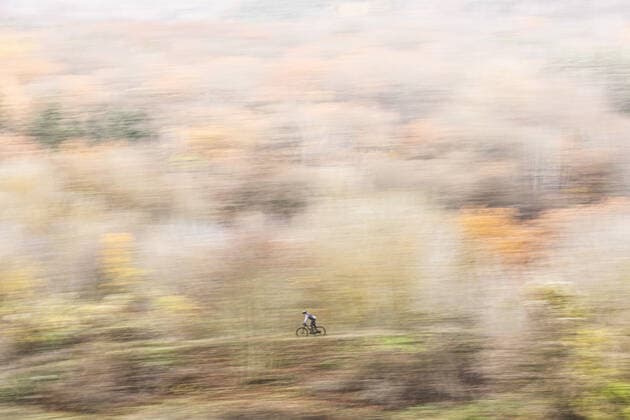 IMAGO Creative: Fit durch den Herbst Ein Radfahrer mit Mountainbike faehrt durch den Grunewald in Berlin, 28.11.2020. Berlin Deutschland *** A cyclist on a mountain bike rides through Grunewald in Berlin, 28 11 2020 Berlin Germany Copyright: xFlorianxGaertner photothek.dex