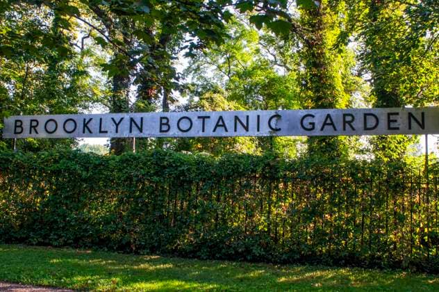 Brooklyn Botanic Garden. 1000 Washington Avenue. NYC. Brooklyn Botanic Garden BBG is a botanical garden in the borough of Brooklyn in New York City. Founded in 1910 and located in the Prospect Park neighborhood, the 52-acre (21 ha) garden includes a number of specialty gardens within the Garden, plant collections, and the Steinhardt Conservatory, which houses the C.V. Starr Bonsai Museum, three climate-themed plant pavilions, a white cast-iron and glass aquatic plant house, and an art gallery. The Garden holds over 10,000 taxa of plants and each year welcomes over 900,000 visitors from around the world. New York New York USA Copyright: xSergixReboredox SRE-BS4046