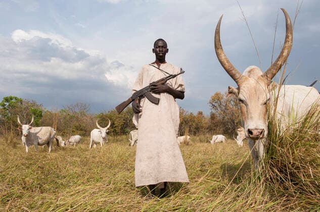 South Sudan, Dinka tribe SOUTH SUDAN, Lakes State, Cueibet , Gok Dinka tribe protect their Zebu cow cattle herds with Kalashnikov AK-47 rifle against hostile cattle raider *** SÜDSUDAN, Lakes State, Cuibet, Dinka Hirten schuetzen ihre Herden mit Zeburindern vor Viehdiebstaehlen von feindlichen Clans mit einem Kalaschnikow AK 47 Maschinengewehr, Hirte Matur 18 Jahre Cuibet Lakes South Sudan