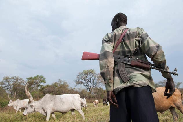South Sudan, Dinka tribe SOUTH SUDAN, Lakes State, Cueibet , Gok Dinka tribe protect their Zebu cow cattle herds with Kalashnikov AK-47 rifle against hostile cattle raider *** SÜDSUDAN, Lakes State, Cuibet, Dinka Hirten schuetzen ihre Herden mit Zeburindern vor Viehdiebstaehlen von feindlichen Clans mit einem Kalaschnikow AK 47 Maschinengewehr Cuibet Lakes South Sudan