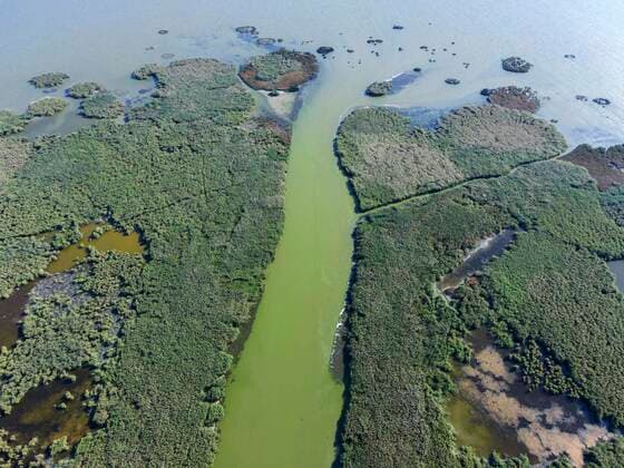  Luftaufnahme, Kuhurlui-See, Reni raion, Oblast Odessa, Ukraine, Europa *** Aerial view, Kuhurlui Lake, Reni raion, Odessa Oblast, Ukraine, Europe Copyright: imageBROKER/AndreyxNekrasov ibxaaa05896595.jpg