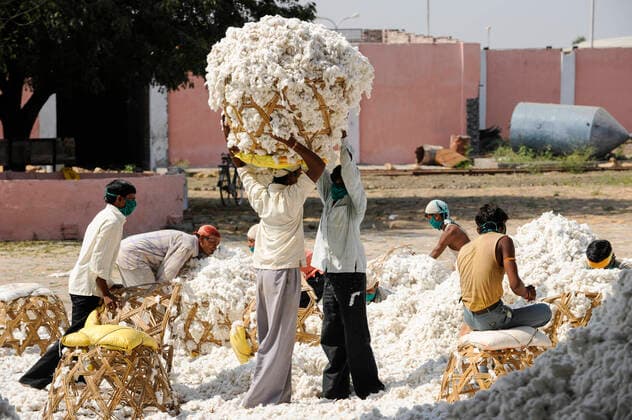 IMAGO Nature: Unsere Erde, Klimawandel, Baumwolle India, cotton ginning INDIA, Madhya Pradesh , Khargone, Mahima ginning factory for fairtrade and organic cotton *** INDIEN, Madhya Pradesh, Khargone, Mahima Fibres Ltd. Fabrik von Entkernung von fairtrade und Biobaumwolle, Arbeiter tragen die von bauern angelieferte Baumwolle in Fabrik Khargone Madhya Pradesh India