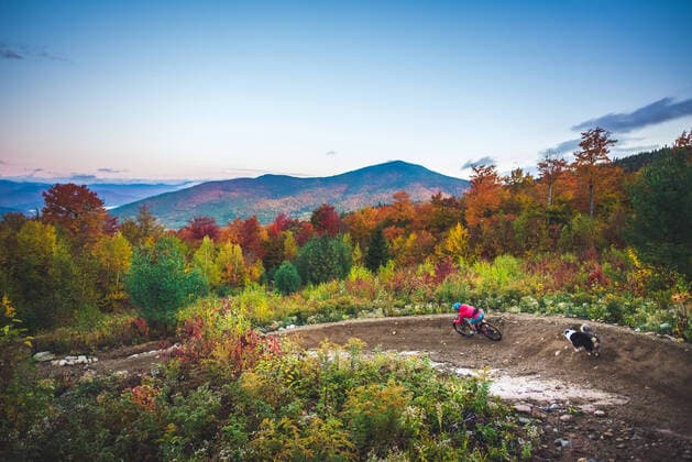 Female mountain-biking with dog running behind during foliage season Conway, NH, United States CR_BRDO201207B-579982-01 ,model released, Symbolfoto