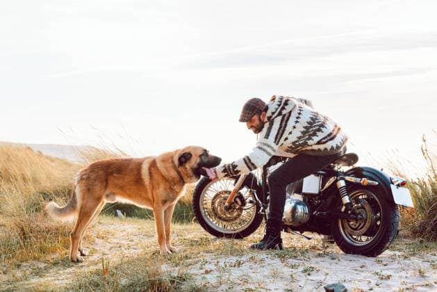 Man in sweater and cap sitting on motorcycle and caressing dog with ocean seashore on background, Model released Copyright: xAlbertoxMenendezx MR