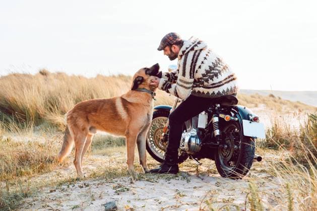 Man in sweater and cap sitting on motorcycle and caressing dog with ocean seashore on background, Model released Copyright: xAlbertoxMenendezx MR