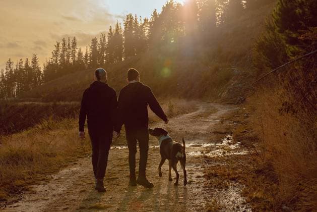 Back view of homosexual couple holding hands and walking with dog on way on hill in sunny day, Model released Copyright: xAlbertoxMenendezx MR
