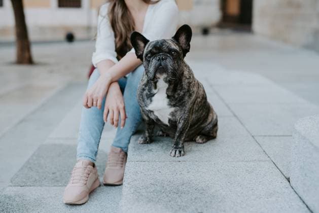 Casual young women sitting on concrete pavement kissing adorable bulldog on street Copyright: xDesireexDelgadox Model Released