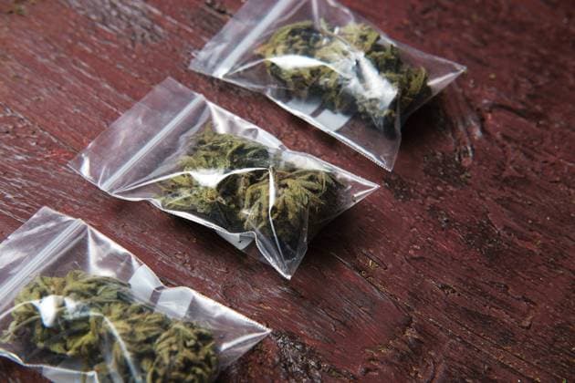Dried cannabis buds in plastic bags Copyright: xFatimaxGuisadox Model Released