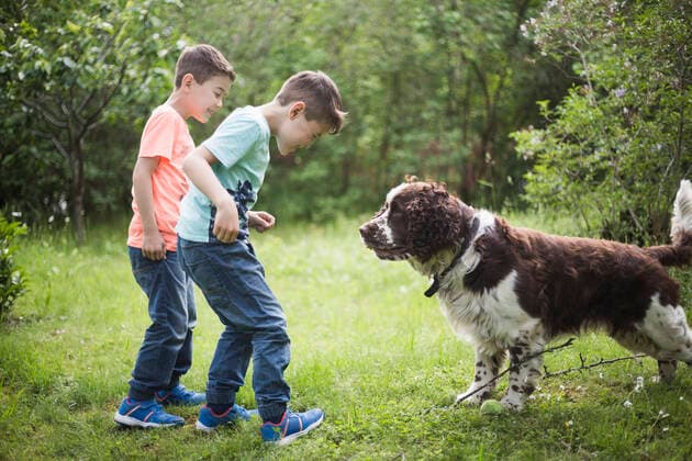 IMAGO Kreativ: Bruderschaft Twin brothers playing with dog on grass in back yard , model released Copyright: xMaskotx , MA57636