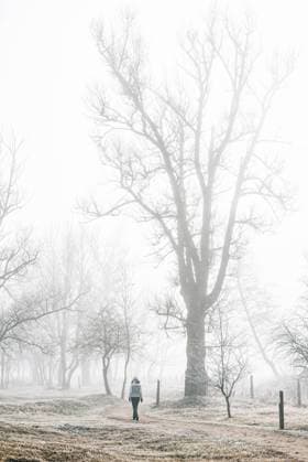 IMAGO Creative: Jahreszeit Winter, Spaziergang Back view of anonymous female hiker in warm clothes walking on empty road among leafless trees in cold misty day in countryside in Bellver de Cerdana , Catalunya, Model released Copyright: xGaldricxPenarrojax MR