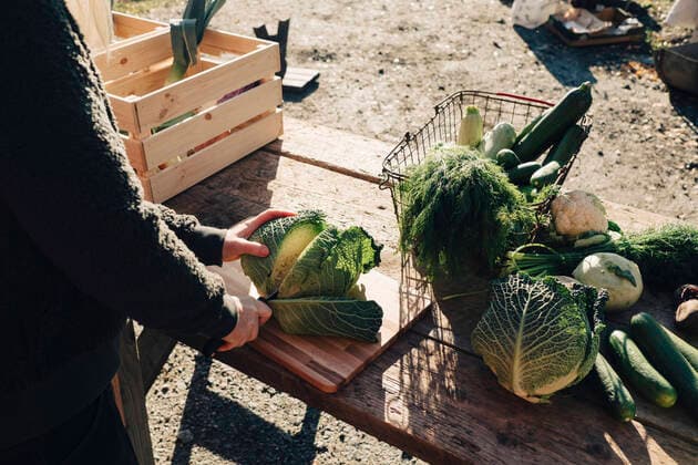 IMAGO Creative: Landleben - Essen Midsection of mature female farmer cutting cabbage at table , model released, property released Copyright: xMaskotx , MA60666
