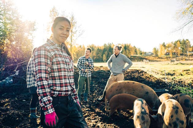 IMAGO Creative: Landleben - Alfresco, Draußen Portrait of mature female farmer with friends and pigs in background at organic farm , model released, property released Copyright: xMaskotx , MA60756