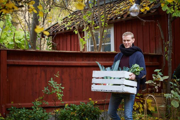 Man carrying freshly produce in basket at yard , model released, property released Copyright: xMaskotx , MA77108