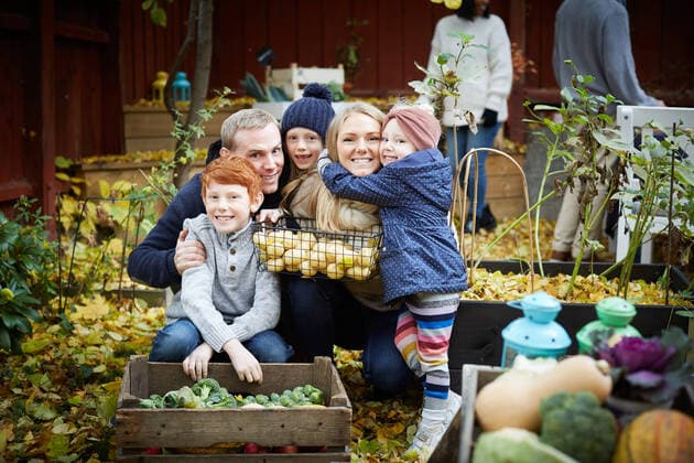 Portrait of happy family with fresh produce in back yard , model released, property released Copyright: xMaskotx , MA77118