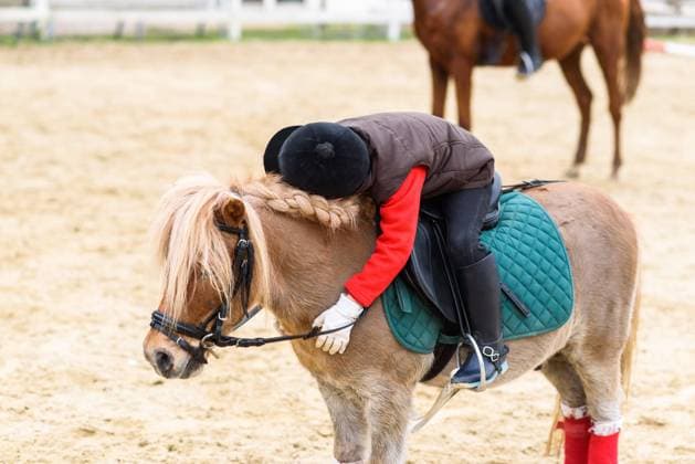 IMAGO Creative: NGO, Ausbildung f?r Kinder Side view of unrecognizable child in jockey costume sitting in saddle and hugging roan pony with braided mane during lesson in horseback riding school, Model released, Property released Copyright: xJordixJanaux MR