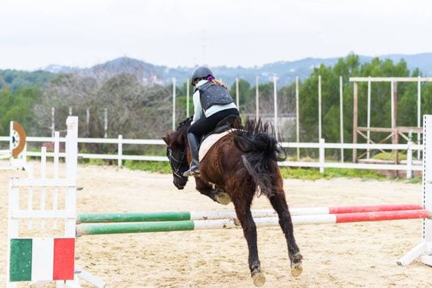 IMAGO Creative: Klub-Sport Back view of unrecognizable teen girl in helmet sitting on horse back and jumping over hurdle during training on dressage arena of equestrian school, Model released, Property released Copyright: xJordixJanaux MR