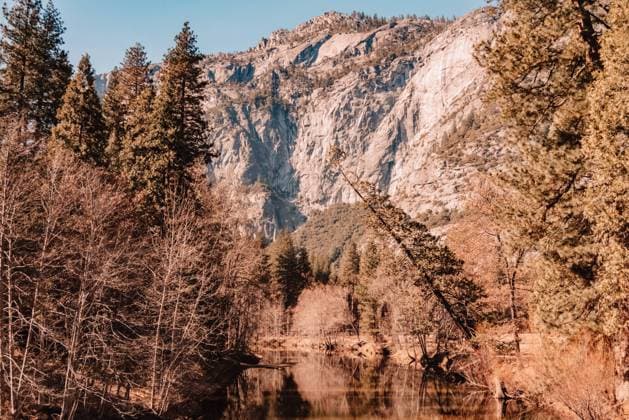 Magnificent landscape of prominent granite cliff surrounded by coniferous trees against cloudless blue sky in sunny day in Yosemite National Park in California, Model released Copyright: xMarioxPintax MR