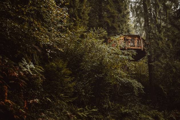 IMAGO Creative, Leben im Bamhaus Huge wooden house placed between pine trees above ground in woods in Biscay Copyright: xMartaxMartinezx Model Released