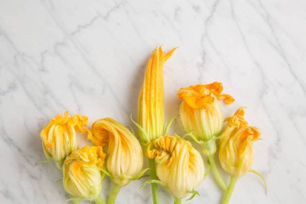 IMAGO Creative, Food, Zucchiniblüten Top view of fresh yellow zucchini blossoms flowers arranged on white marble table in kitchen Copyright: xPeterxKarasevx Model Released