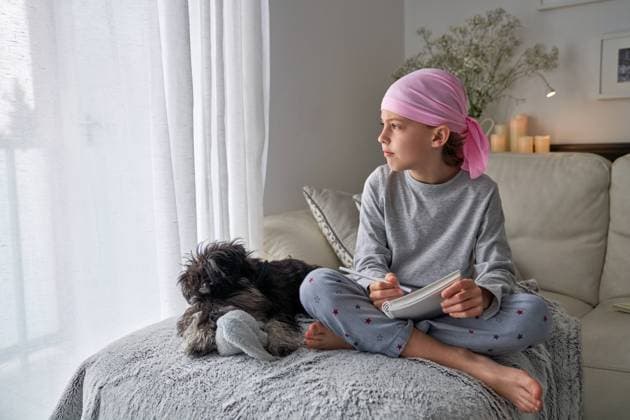 IMAGO Creative, Gesellschaft, Immer mehr Menschen haben Angst vor der Zukunft IMAGO Creative: Resilienz IMAGO Creative: Countdown bis Weihnachten, Wunschzettel schreiben From below happy little child with cancer disease writing notes while sitting with dog on bed in room Copyright: xPhilippexDegrootex Model Released
