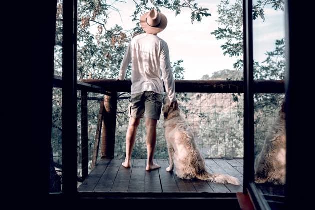 IMAGO Creative, Leben im Bamhaus IMAGO Creative: Reisen mit Haustier Back view of traveling male standing on balcony of tree house with friendly dog and admiring spectacular scenery of forest Copyright: xSergioxVictorxVegax Model Released
