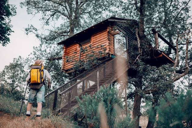 IMAGO Creative, Leben im Bamhaus Back view of carefree male tourist standing in green woods near tree house while preparing for hiking with trekking poles Copyright: xSergioxVictorxVegax Model Released