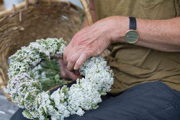 Wiesenschafgarbe, Wiesen-Schafgarbe, Gewoehnliche Schafgarbe, Gemeine Schafgarbe (Achillea millefolium), selbst gebundener Schafgarben-Kranz , Deutschland common yarrow, milfoil (Achillea millefolium), self-tied yarrow wreath , Germany BLWS635201 *** Meadow yarrow, common yarrow, common yarrow Achillea millefolium , self tied yarrow wreath , Germany common yarrow, milfoil Achillea millefolium , self tied yarrow wreath , Germany BLWS635201 Copyright: xblickwinkel F.xHeckerx
