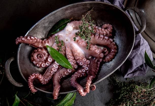 Fresh octopus tentacles with aromatic herbs lying in metal bowl in kitchen Copyright: xLarisaxBlinovax Model Released