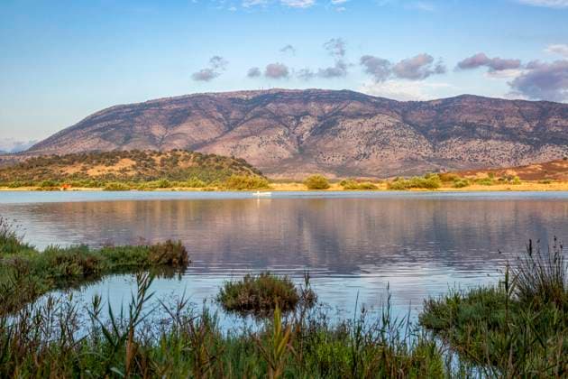Shore of Lake Butrint in Butrint National Park with mountain in background MAMF01411