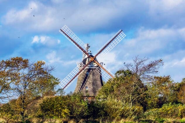 Wooden windmill and trees THAF02945