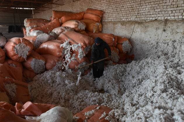 IMAGO Nature: Unsere Erde, Klimawandel, Baumwolle (201225) -- MAZAR-I-SHARIF, Dec. 25, 2020 -- A man works at a cotton-processing factory in Mazar-i-Sharif, capital of Balkh province, Afghanistan, Dec. 24, 2020. The latest statistics of Ministry of Agriculture Irrigation and Livestock showed that cotton or so-called white gold production reached 35,000 metric tons in the northern Balkh province this year. (Photo by Xinhua) AFGHANISTAN-BALKH-MAZAR-I-SHARIF-COTTON PROCESSING FACTORY KawaxBasharat 